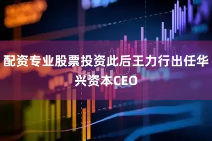 配资专业股票投资此后王力行出任华兴资本CEO