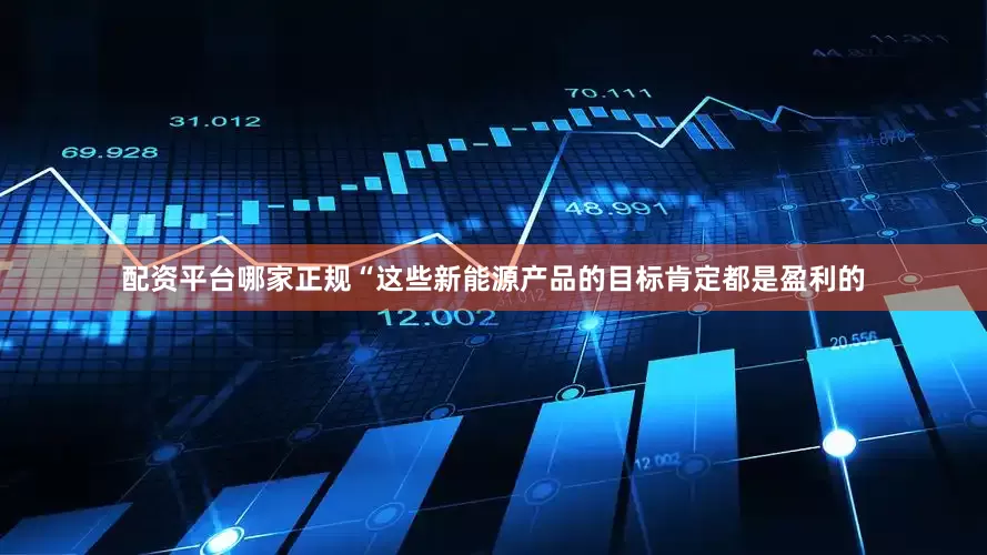 配资平台哪家正规“这些新能源产品的目标肯定都是盈利的