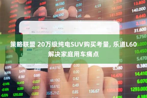 策略联盟 20万级纯电SUV购买考量, 乐道L60解决家庭用车痛点