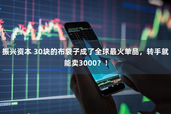 振兴资本 30块的布袋子成了全球最火单品，转手就能卖3000？！