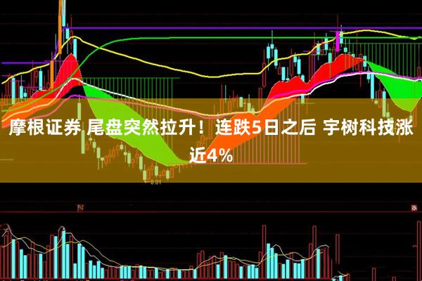摩根证券 尾盘突然拉升！连跌5日之后 宇树科技涨近4%